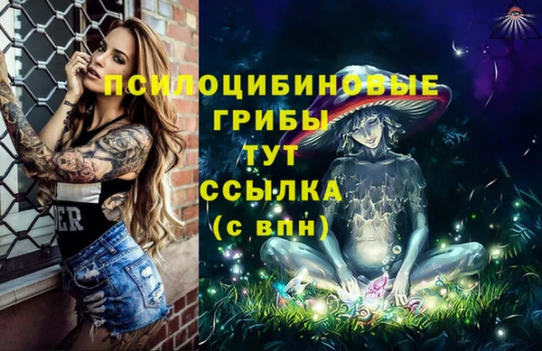 винт Баксан