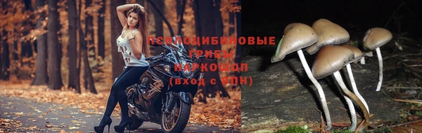 винт Баксан